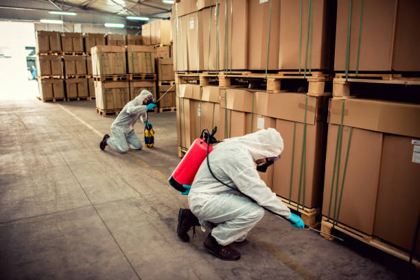 Best Wasp Removal Services  in Great Bend, KS