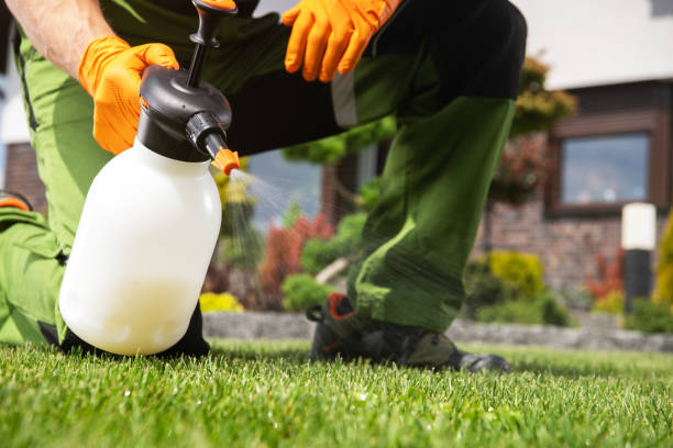 Best Cockroach Control Services  in Great Bend, KS