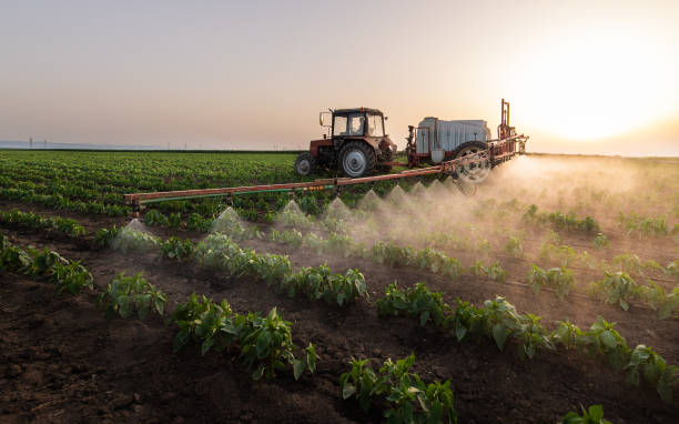 Best Pest Control Treatment  in Great Bend, KS