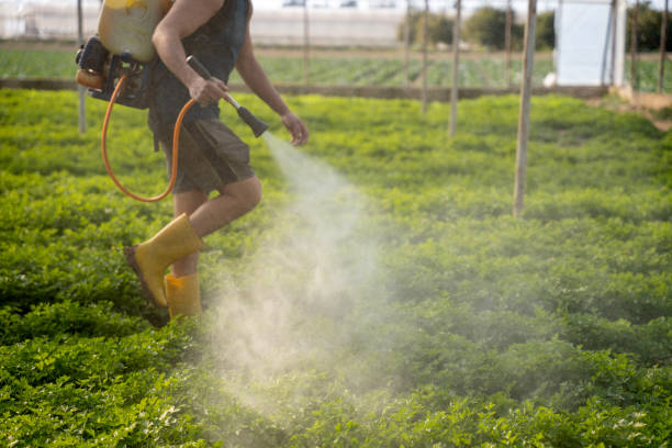 Best Pest Control for Restaurants  in Great Bend, KS