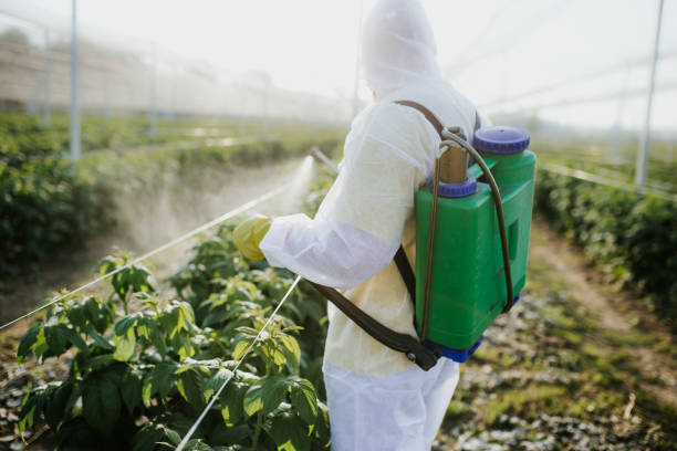 Best Pest Control Near Me  in Great Bend, KS